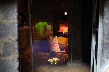 Joel Tonks, Apparitions, holographic installation C22. Photo Ian Hobbs 