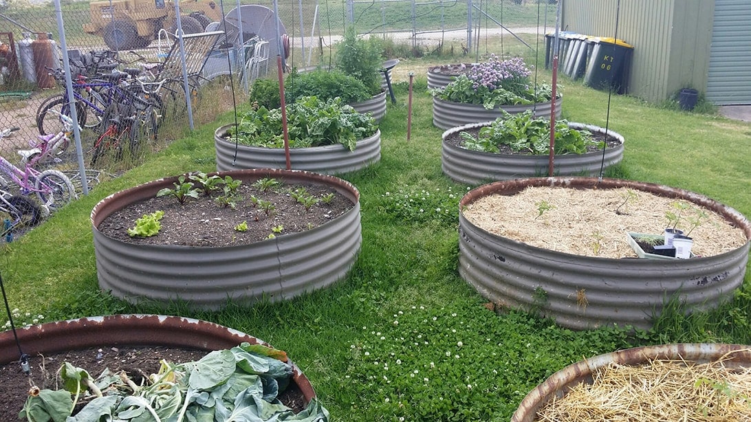 raised garden beds at the Kandos Tip