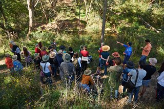 Stuart Andrews leads the tour into regenerating area. photo Gus Armstrong